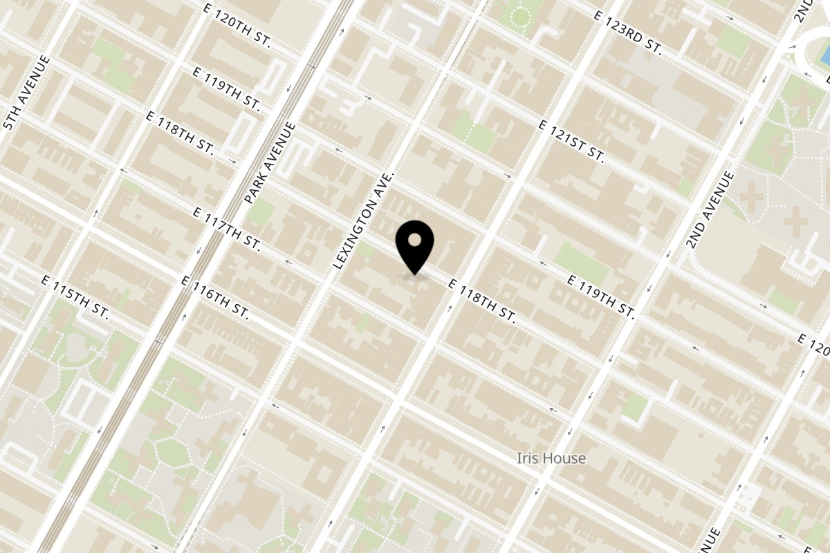 Map showing the location of Thai Super on 166 E 118th St in New York